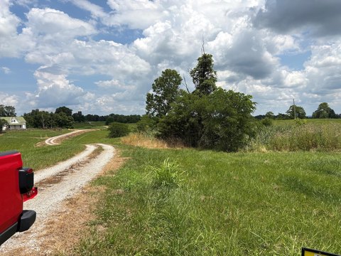 LAND - Carlisle, KY