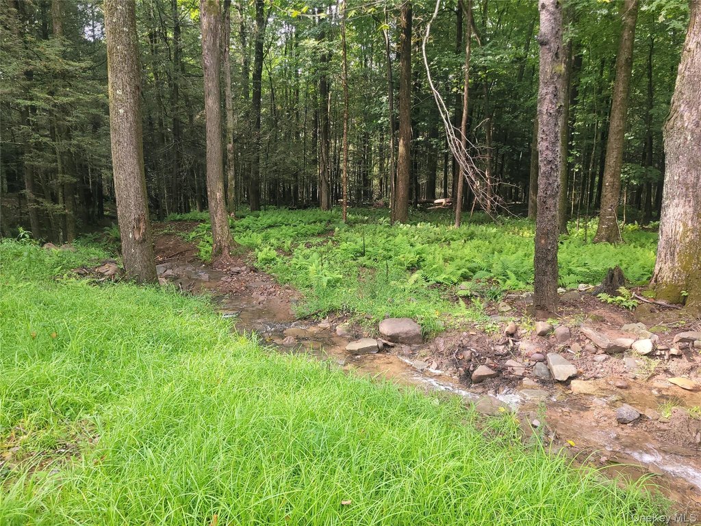 Picture 8