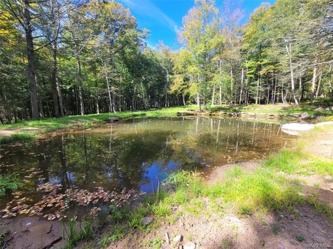 Land, Parksville, NY
