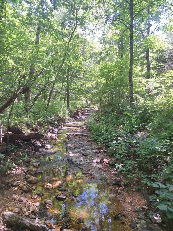 Picture 37