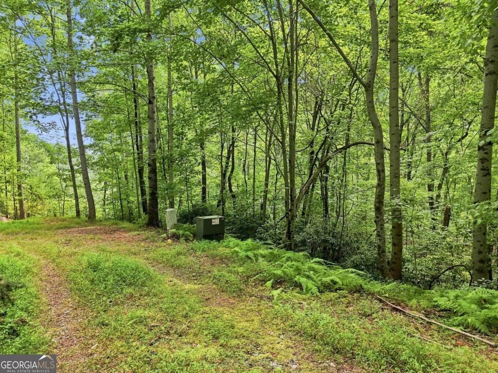 Picture 26