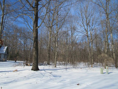 Vacant Lot in Huron Woods