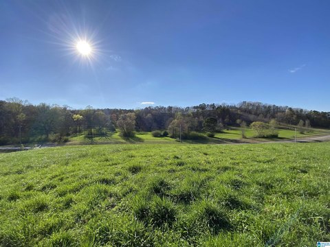 Pasture Land Tract with ARC Approval