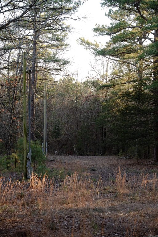 Picture 17