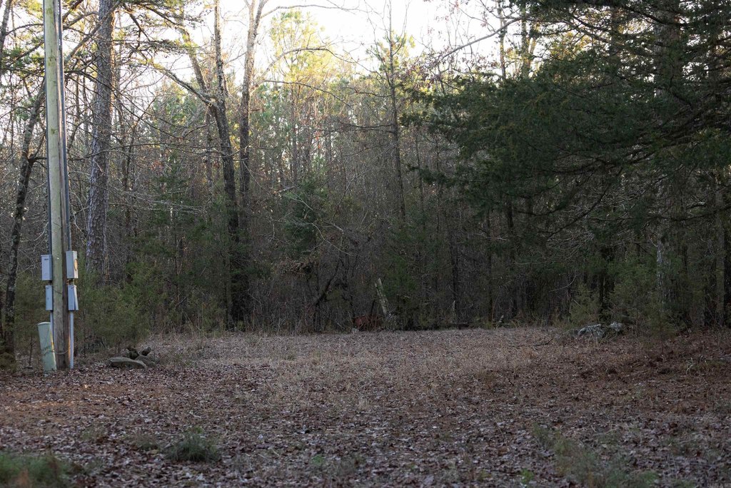 Picture 21