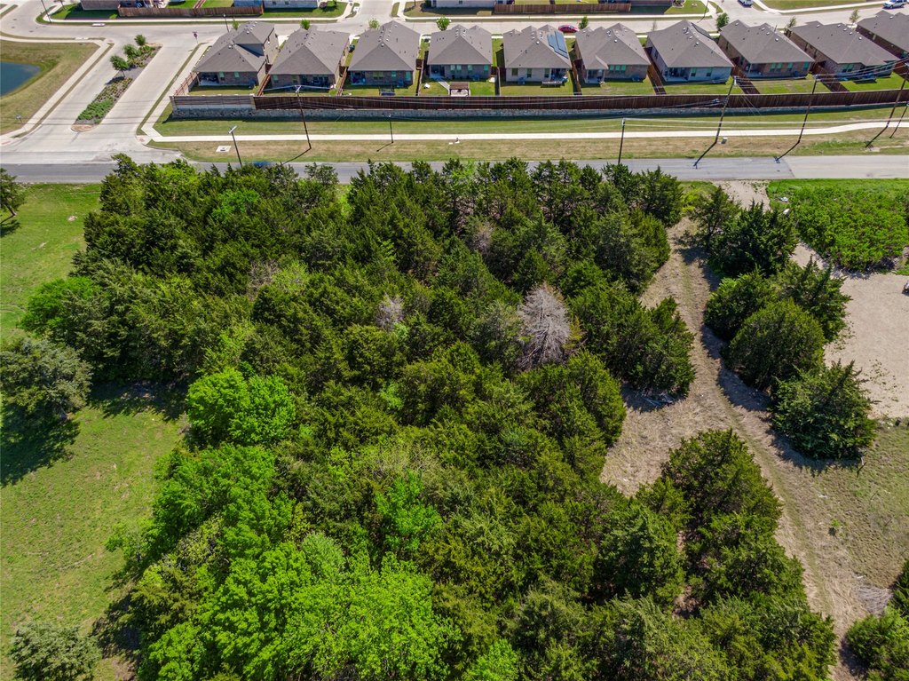 Picture 13