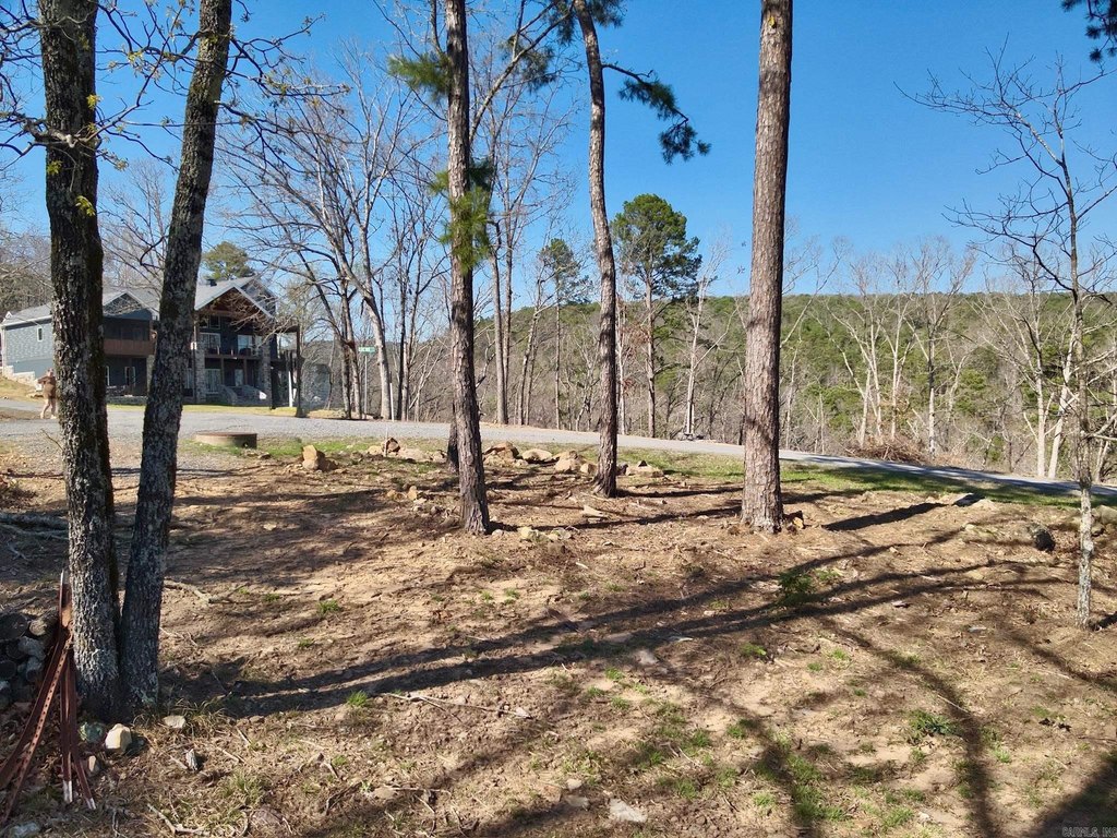 Picture 12