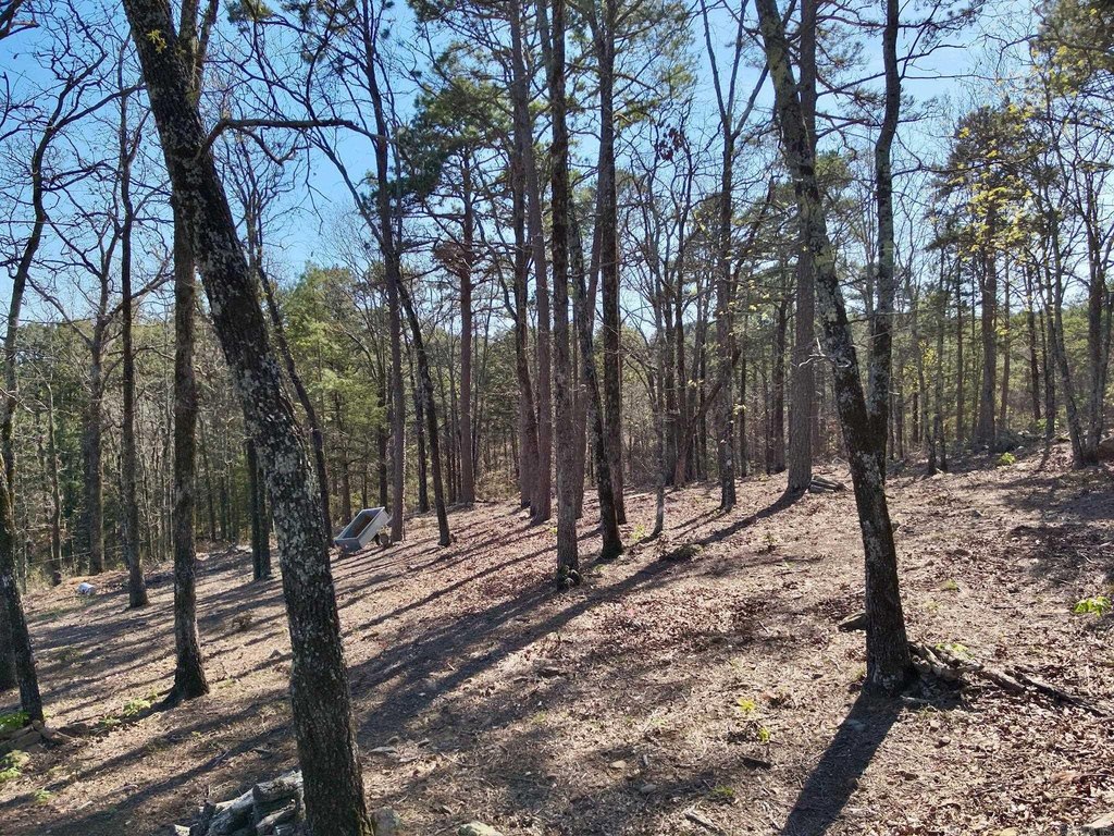 Picture 19