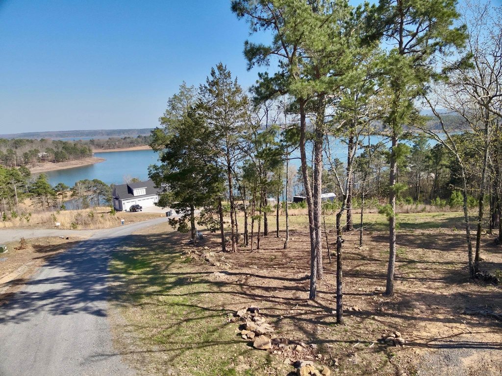 Picture 22