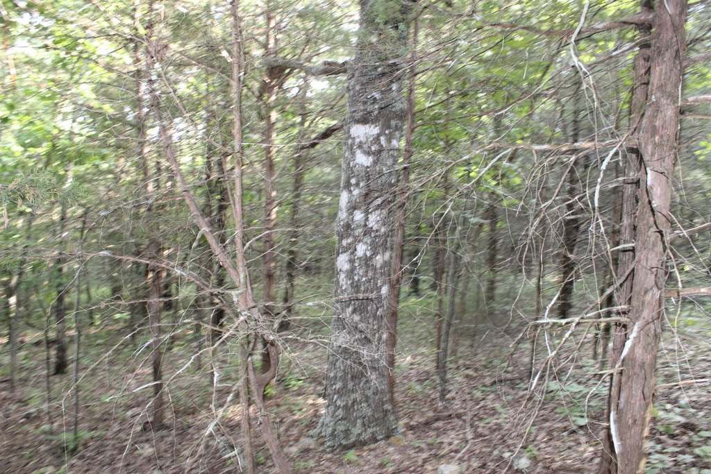 Picture 10