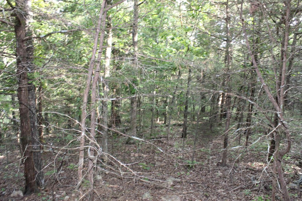 Picture 11