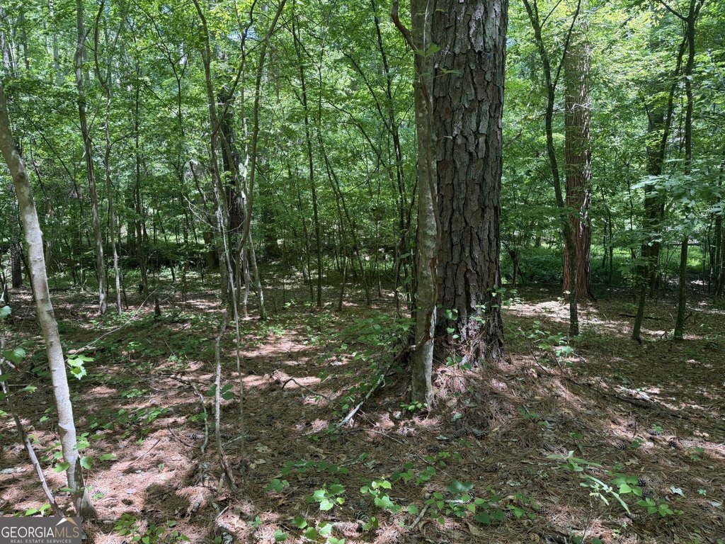 Picture 8