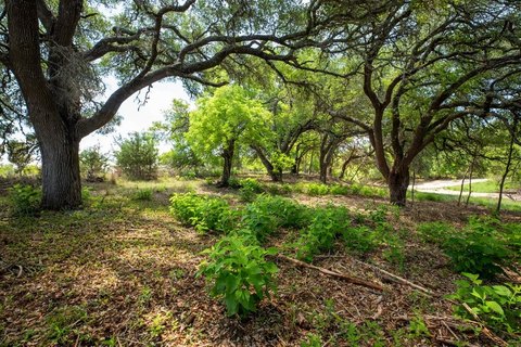 Fredericksburg Land with Creek Frontage