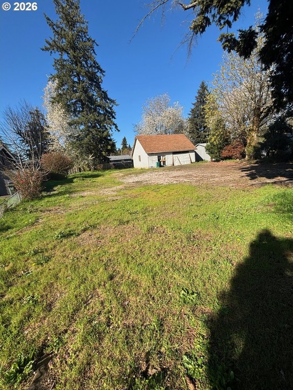 Picture 5