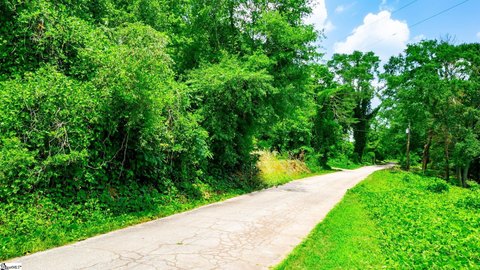 Lots/Land, Taylors, SC