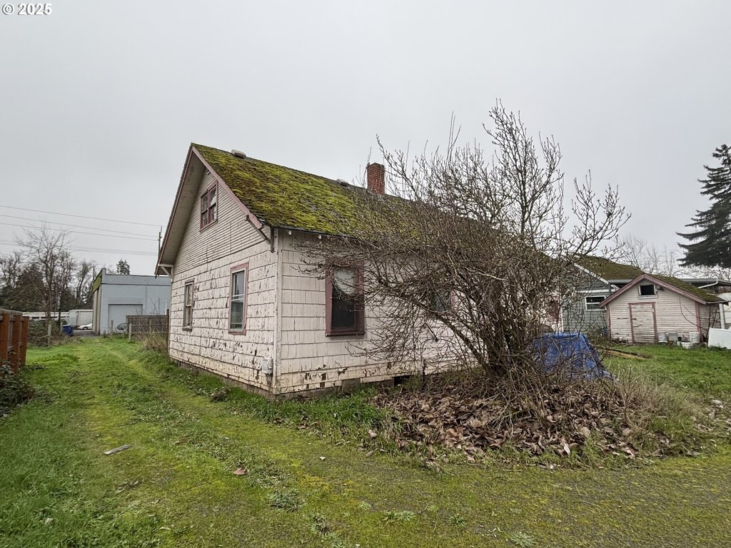 Picture 16