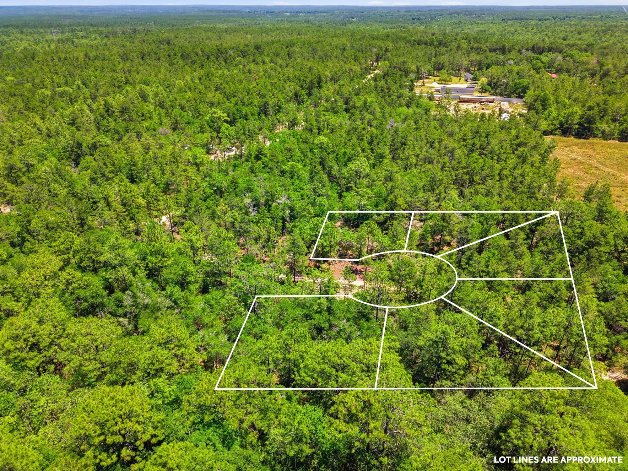 Undeveloped Lots in Mossy Head