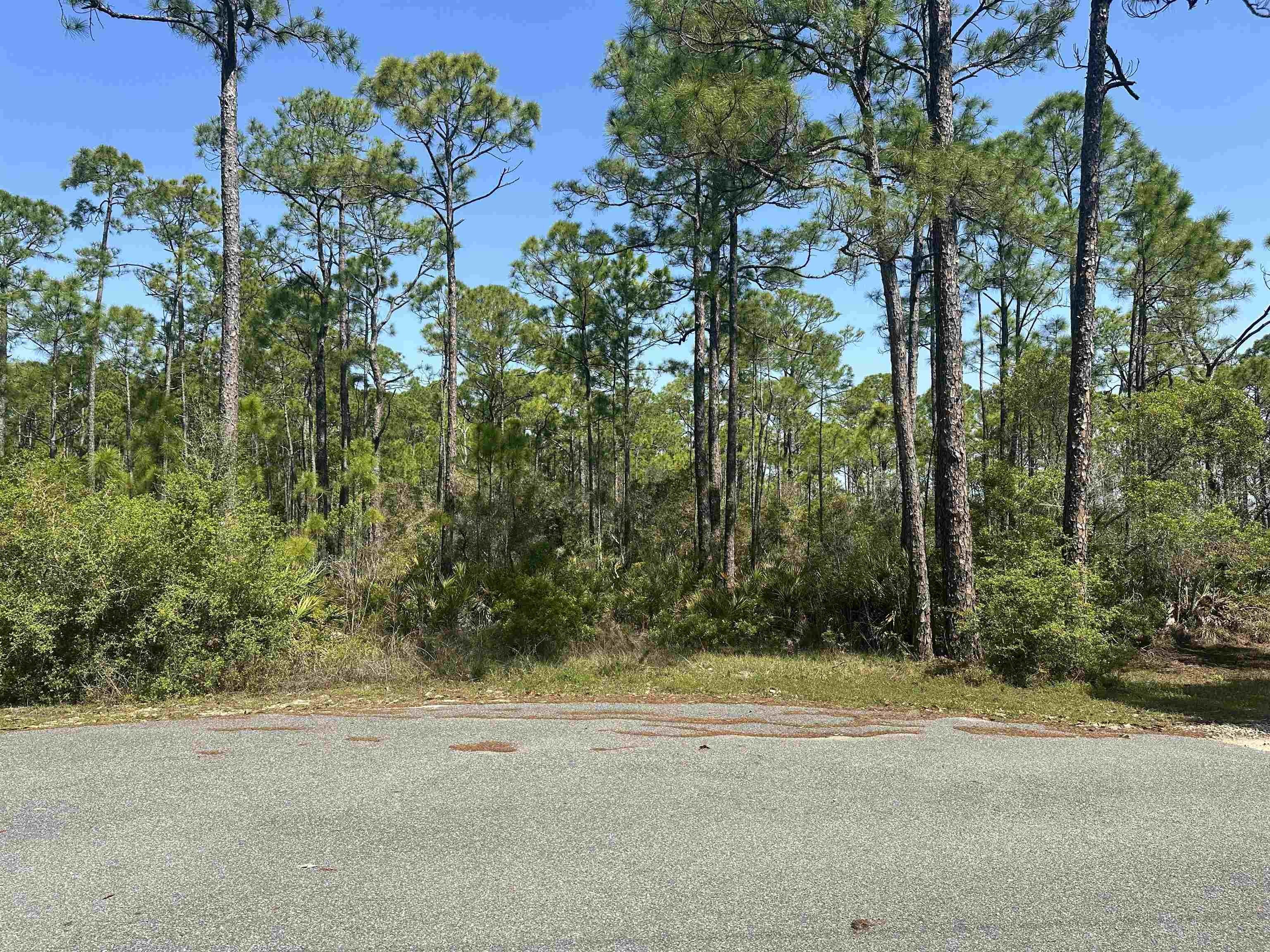 Land Near Tarpine Airport