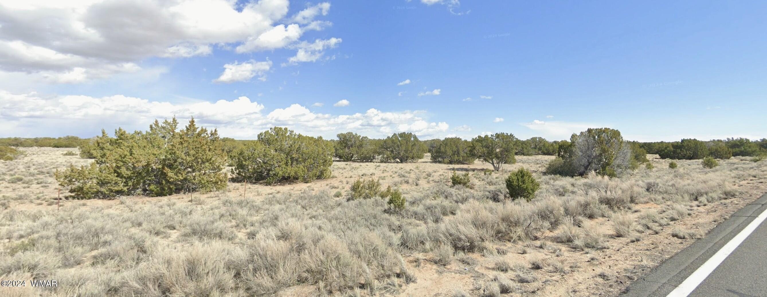 40 Acres near St. Johns