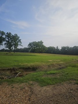 Residential Land in Carrollton, MS
