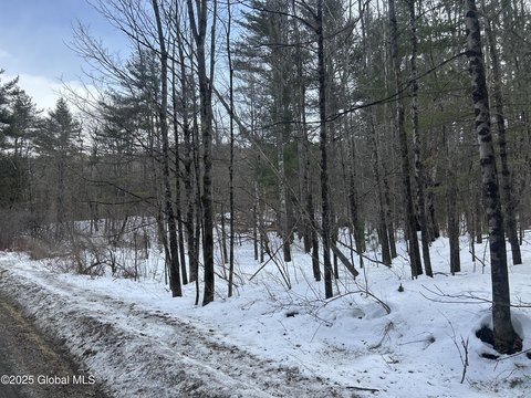 16-Acre Wooded Land in Crown Point