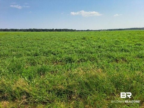 LAND - Milton, FL