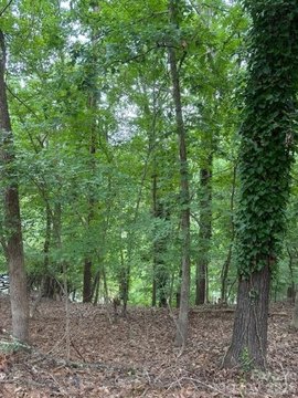 Water-View Lot in Tega Cay