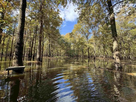 Prime Arkansas Waterfowl Flyway Land