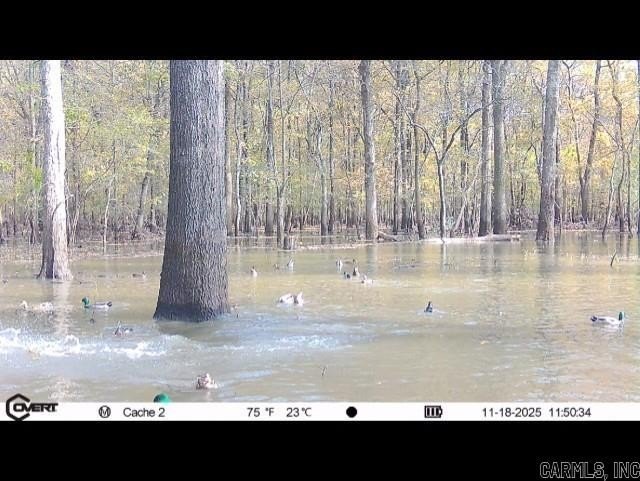 Prime Arkansas Waterfowl Flyway Land