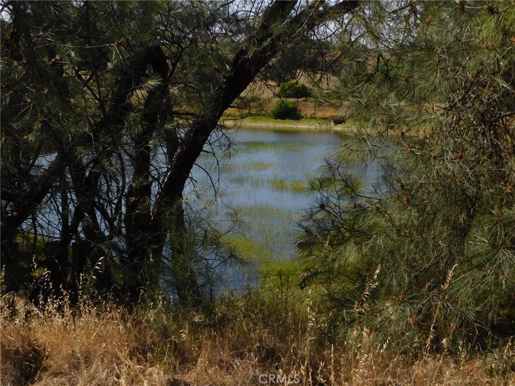 42 Acres of Rolling Land