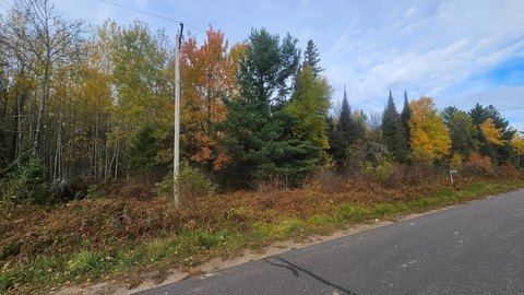 Wooded Northwoods Hunting Land
