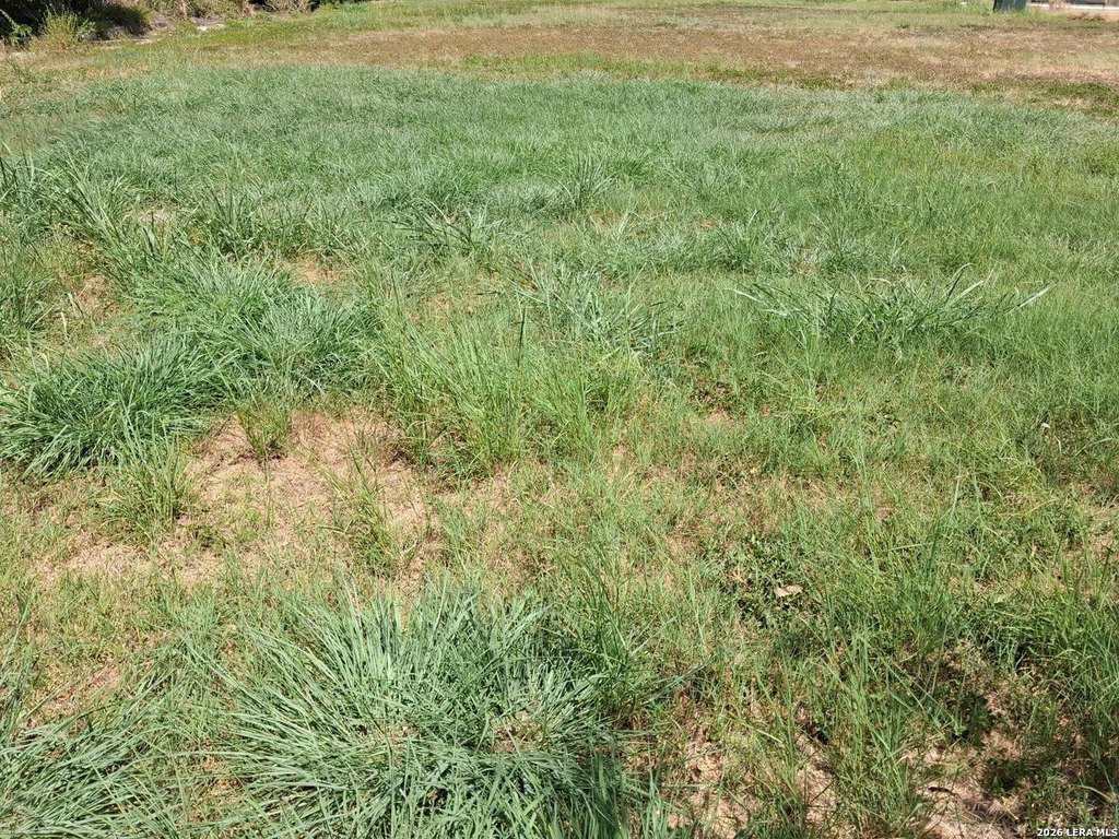 Picture 3