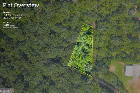 LAND - Martin, GA