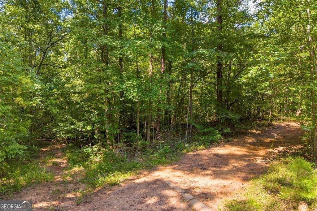 Picture 21
