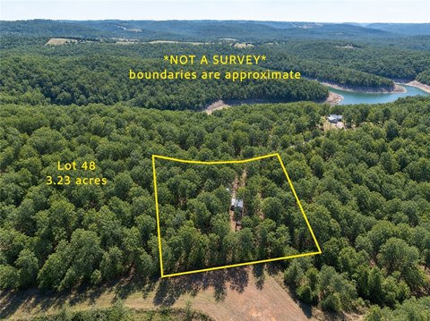 Wooded Recreational Land with Cabin