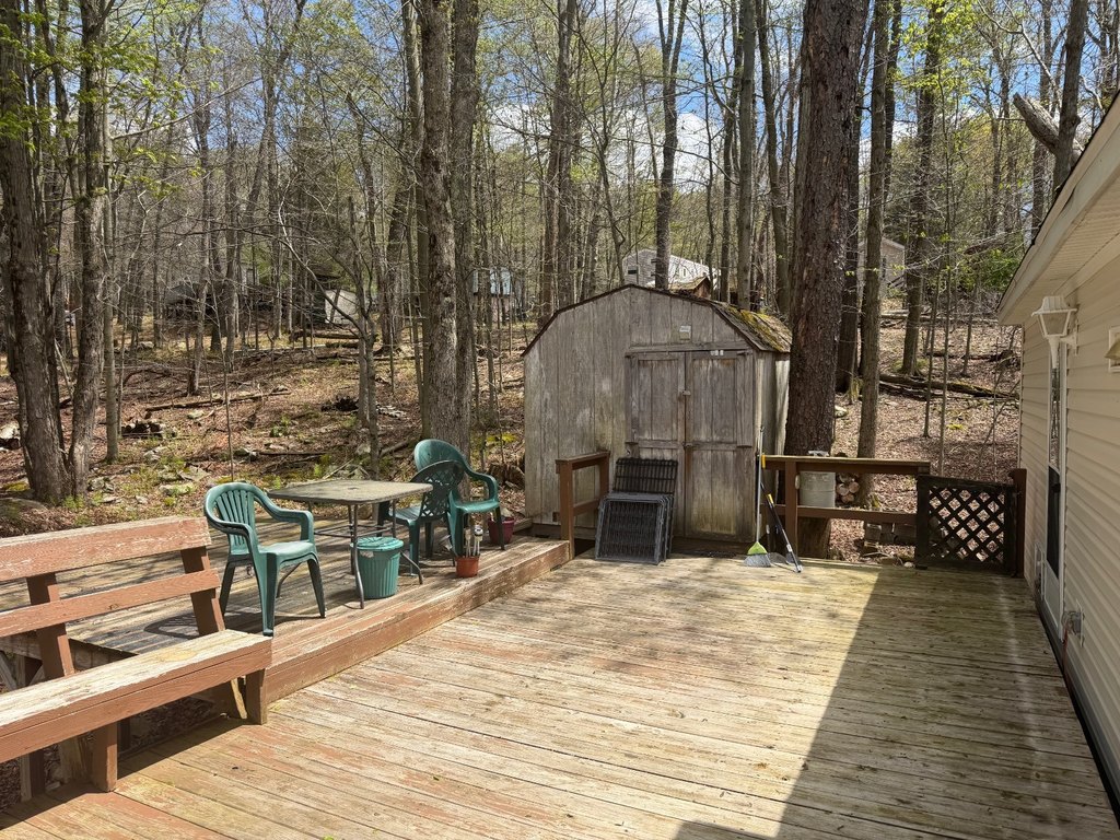 Picture 36