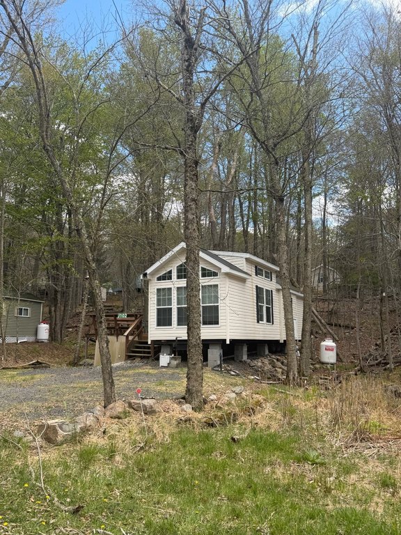 Picture 3