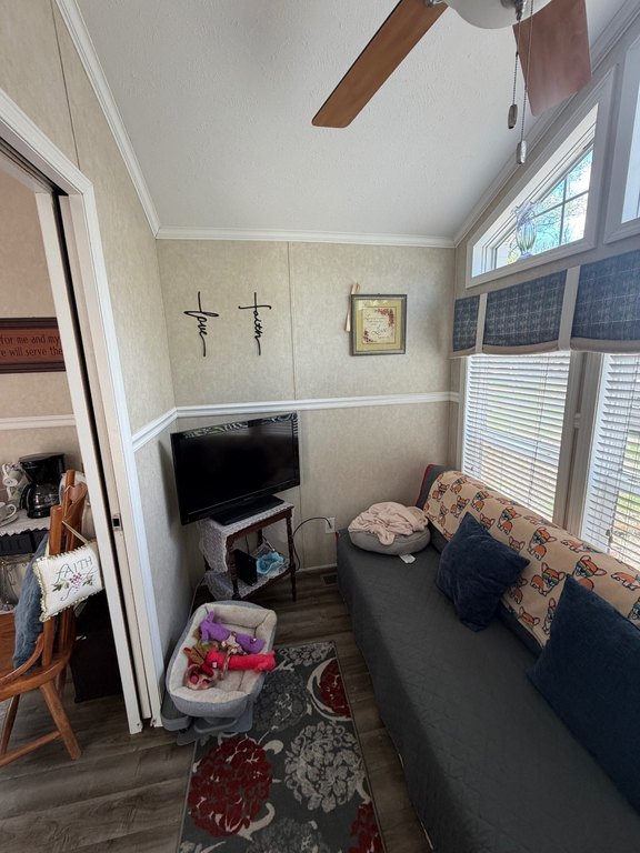 Picture 22