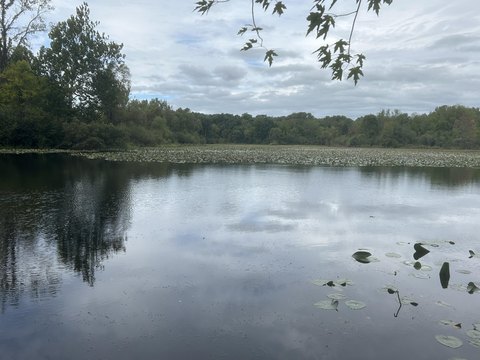 Land, Kalamazoo, MI