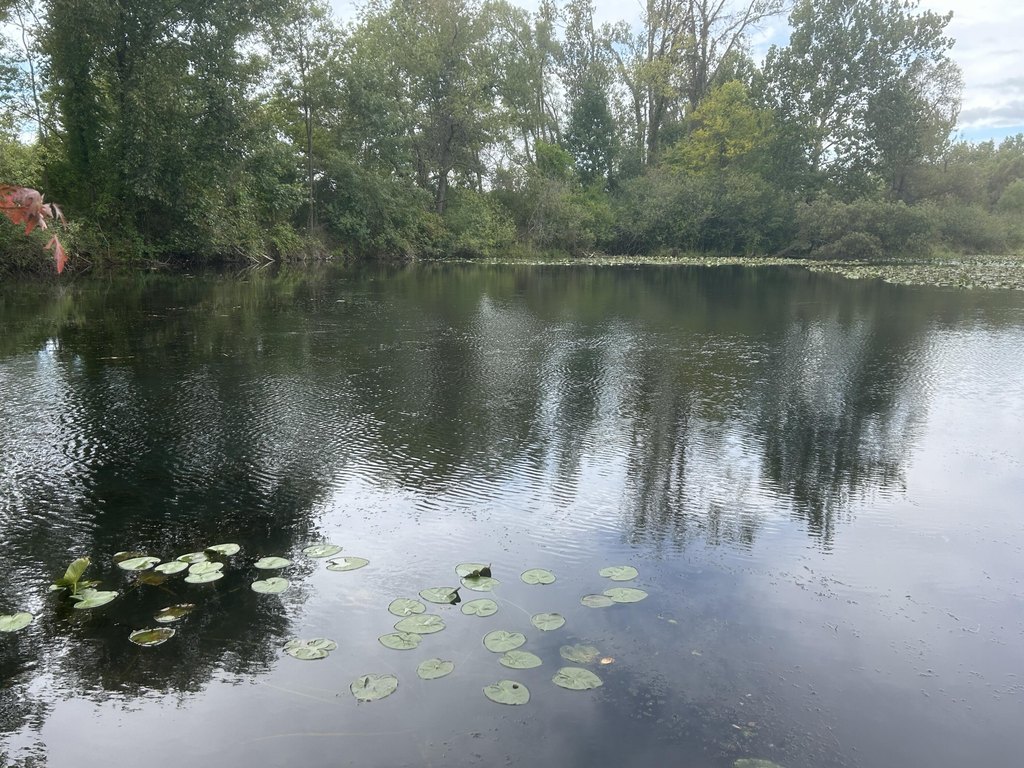 Picture 2