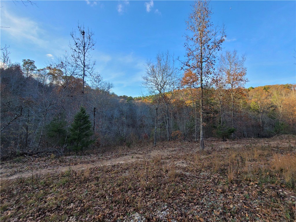 Unrestricted Land Bordering National Forest