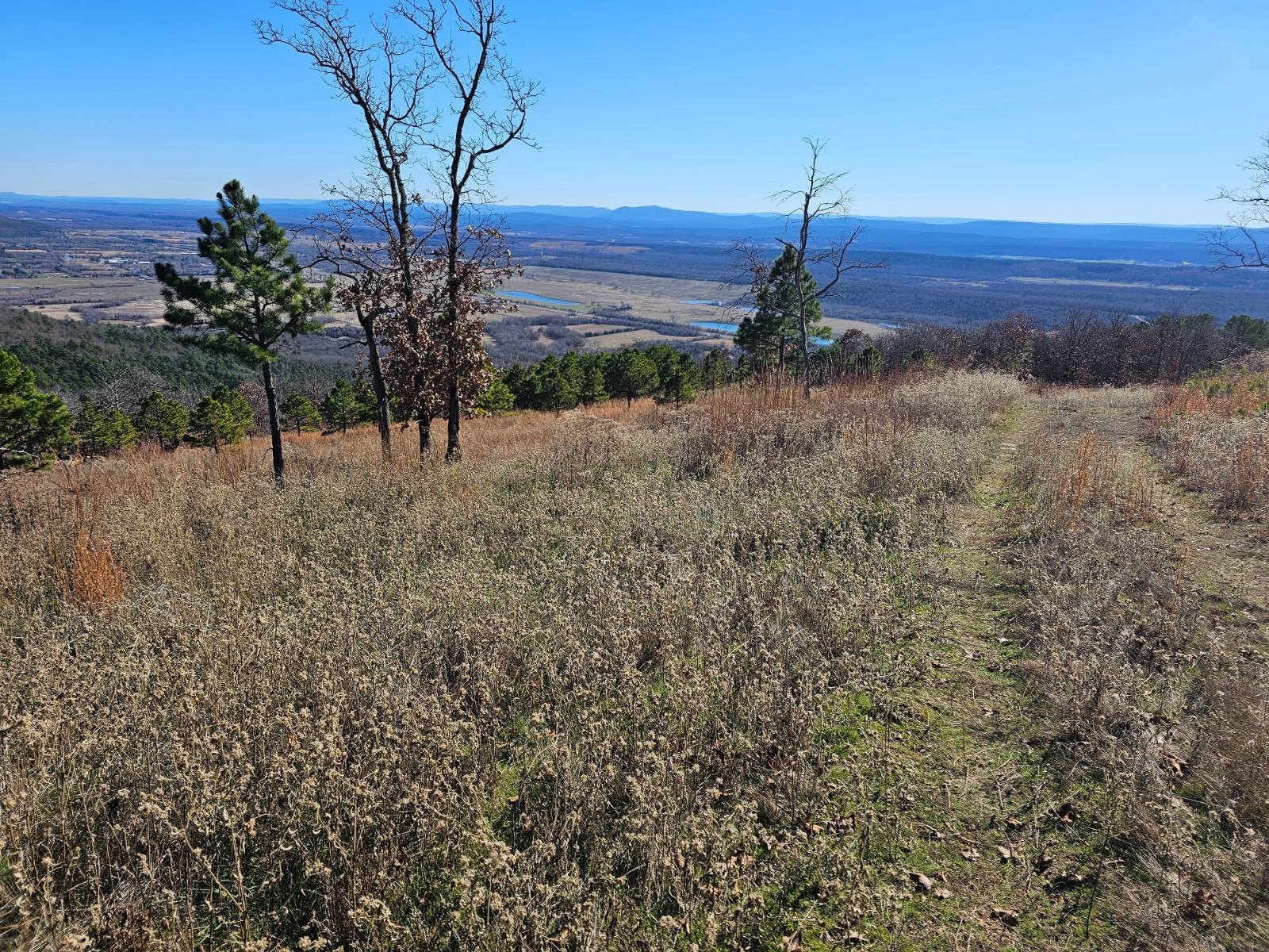 Red Oak Vacant Land