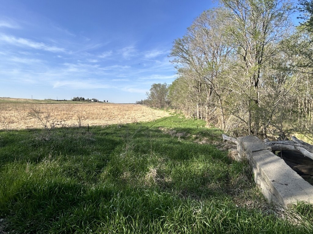 Picture 15