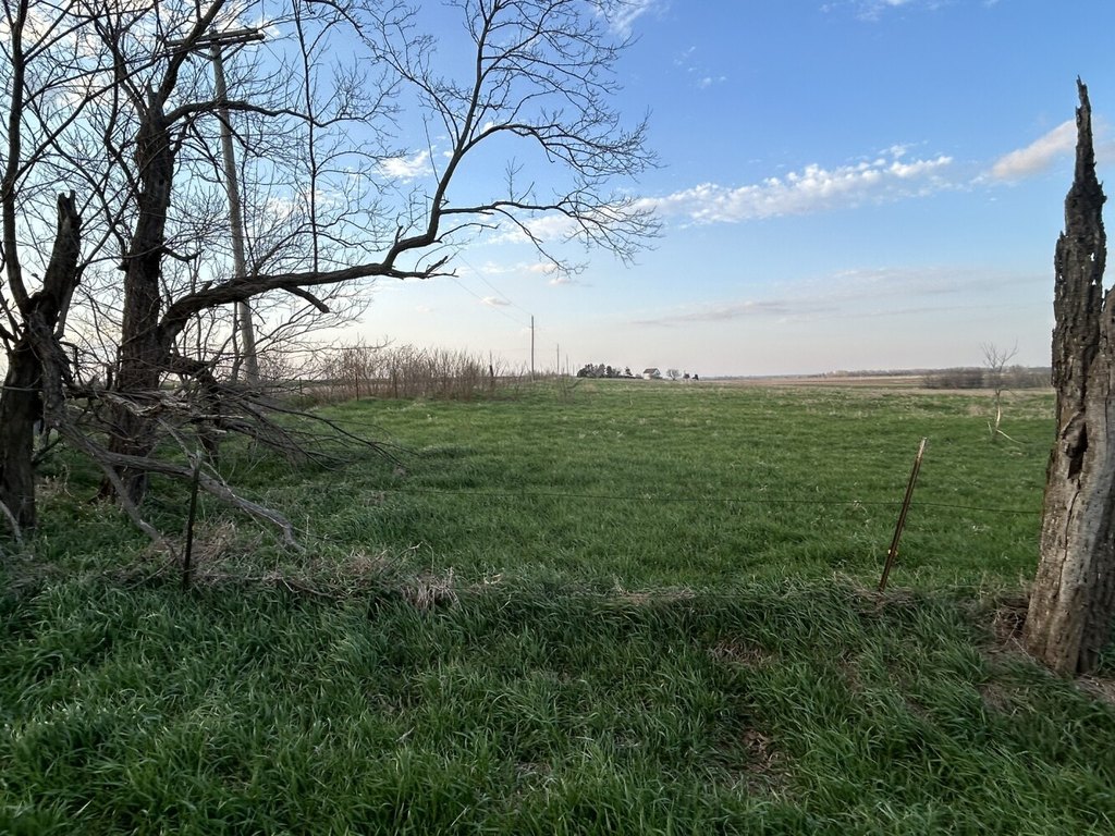 Picture 2