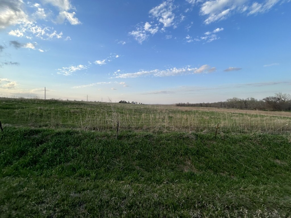 Picture 7