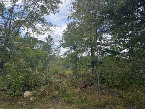 CommercialSale, Minocqua, WI
