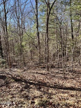 Crossville, TN Wooded Lot