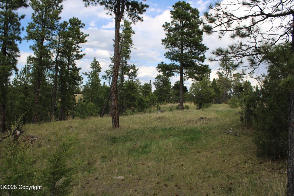 Picture 33