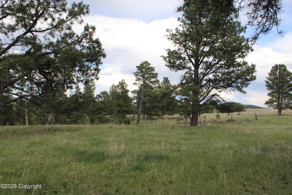 Picture 34