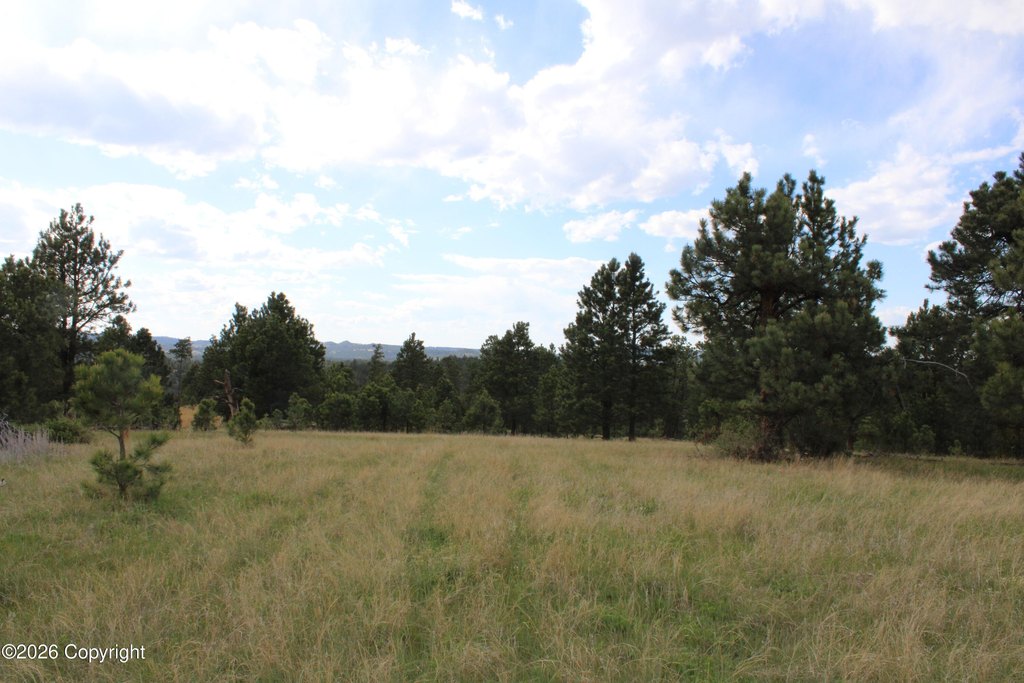 Picture 23